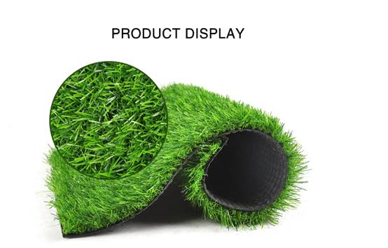 image002.jpg image002.jpg