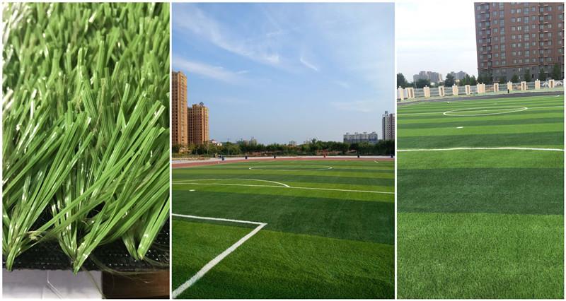 product-1-1 product-1-1