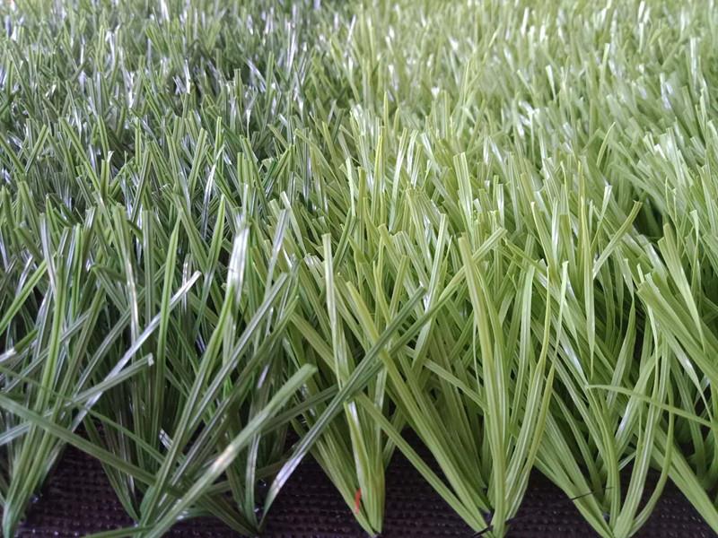 product-1-1 product-1-1