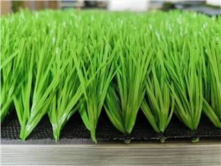 Football field grass